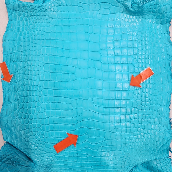 ワニ革 クロコ 半艶マット  セルリアンブルー　No.C008564 10枚目の画像