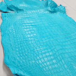 ワニ革 クロコ 半艶マット  セルリアンブルー　No.C008564 16枚目の画像