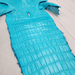 ワニ革 クロコ 半艶マット  セルリアンブルー　No.C008564 17枚目の画像
