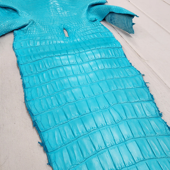 ワニ革 クロコ 半艶マット  セルリアンブルー　No.C008564 17枚目の画像