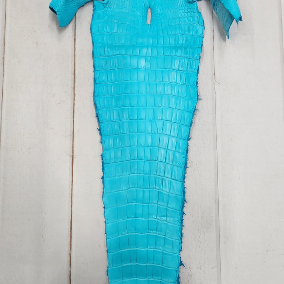 ワニ革 クロコ 半艶マット  セルリアンブルー　No.C008564 5枚目の画像