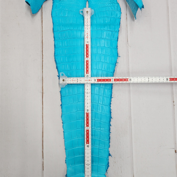 ワニ革 クロコ 半艶マット  セルリアンブルー　No.C008564 7枚目の画像