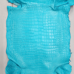 ワニ革 クロコ 半艶マット  セルリアンブルー　No.C008564 4枚目の画像