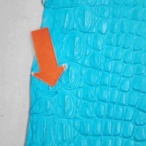 ワニ革 クロコ 半艶マット  セルリアンブルー　No.C008564 11枚目の画像