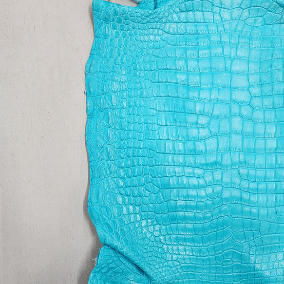 ワニ革 クロコ 半艶マット  セルリアンブルー　No.C008564 14枚目の画像