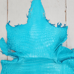 ワニ革 クロコ 半艶マット  セルリアンブルー　No.C008564 3枚目の画像