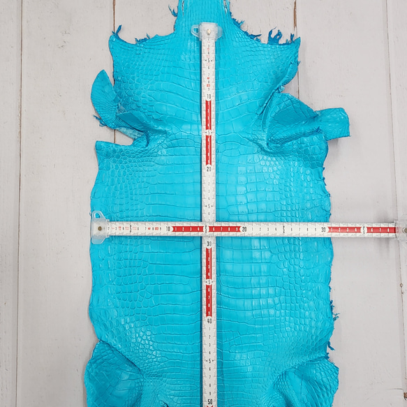ワニ革 クロコ 半艶マット  セルリアンブルー　No.C008564 6枚目の画像