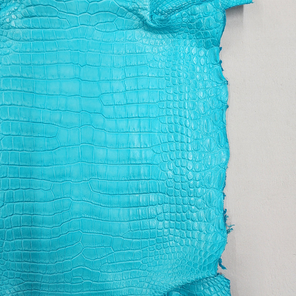 ワニ革 クロコ 半艶マット  セルリアンブルー　No.C008564 15枚目の画像