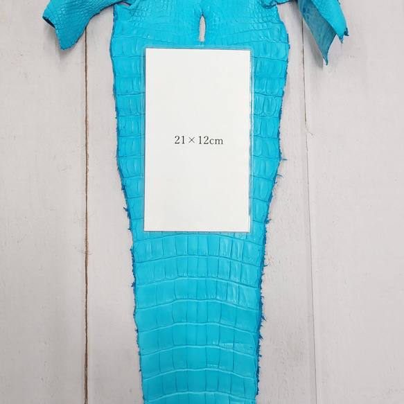 ワニ革 クロコ 半艶マット  セルリアンブルー　No.C008564 9枚目の画像