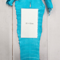 ワニ革 クロコ 半艶マット  セルリアンブルー　No.C008565 9枚目の画像