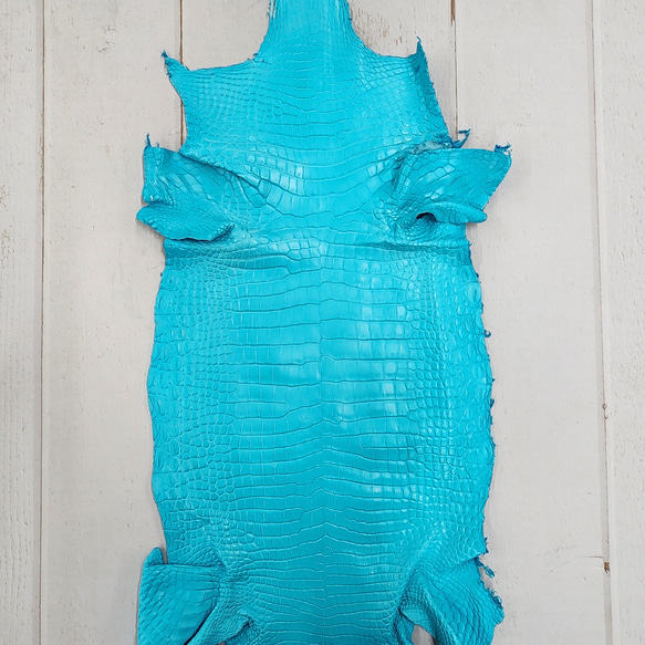 ワニ革 クロコ 半艶マット  セルリアンブルー　No.C008565 1枚目の画像