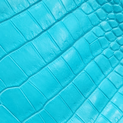 ワニ革 クロコ 半艶マット  セルリアンブルー　No.C008565 14枚目の画像