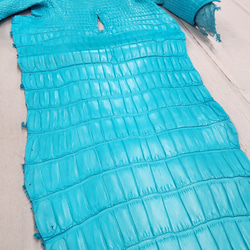 ワニ革 クロコ 半艶マット  セルリアンブルー　No.C008565 16枚目の画像