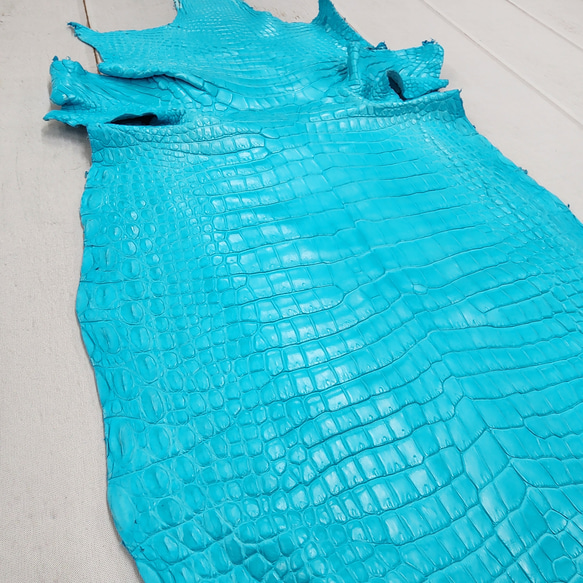 ワニ革 クロコ 半艶マット  セルリアンブルー　No.C008565 12枚目の画像