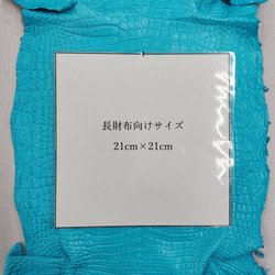 ワニ革 クロコ 半艶マット  セルリアンブルー　No.C008565 8枚目の画像