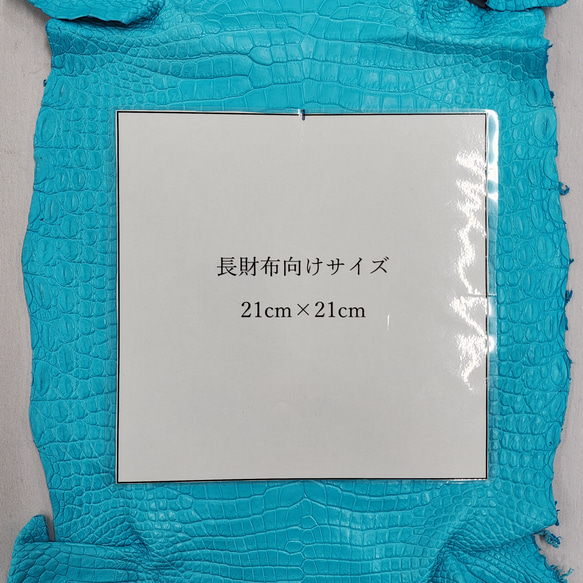 ワニ革 クロコ 半艶マット  セルリアンブルー　No.C008565 8枚目の画像