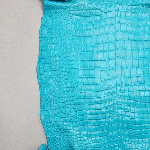 ワニ革 クロコ 半艶マット  セルリアンブルー　No.C008565 10枚目の画像