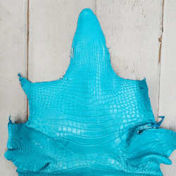 ワニ革 クロコ 半艶マット  セルリアンブルー　No.C008565 3枚目の画像