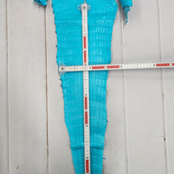 ワニ革 クロコ 半艶マット  セルリアンブルー　No.C008565 7枚目の画像