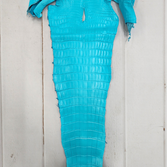 ワニ革 クロコ 半艶マット  セルリアンブルー　No.C008565 5枚目の画像