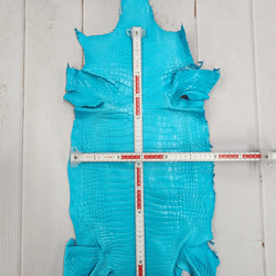 ワニ革 クロコ 半艶マット  セルリアンブルー　No.C008565 6枚目の画像