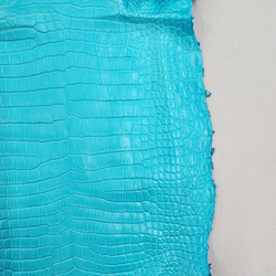 ワニ革 クロコ 半艶マット  セルリアンブルー　No.C008565 11枚目の画像