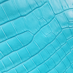 ワニ革 クロコ 半艶マット  セルリアンブルー　No.C008565 15枚目の画像