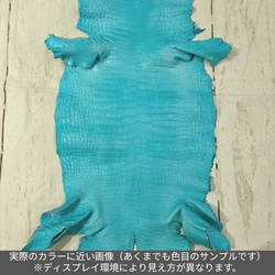 ワニ革 クロコ 半艶マット  セルリアンブルー　No.C008565 2枚目の画像