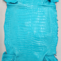 ワニ革 クロコ 半艶マット  セルリアンブルー　No.C008565 4枚目の画像