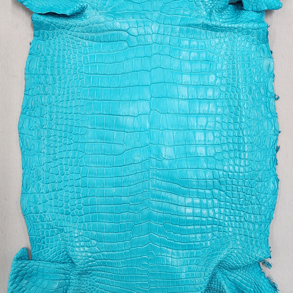 ワニ革 クロコ 半艶マット  セルリアンブルー　No.C008565 4枚目の画像