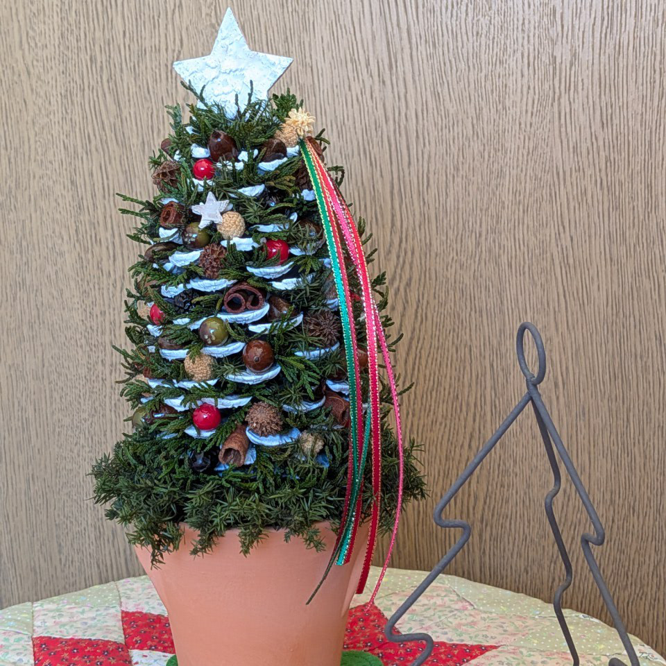 《新作＊X'mas》北欧の森の木の実とクジャクヒバのククリスマスツリー高さ：27cm（1点限定＊値下げしました）