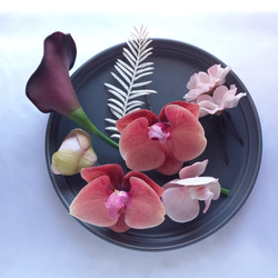 再販♡バレエコアのバレリーナブーケ テラコッタの胡蝶蘭 リボン