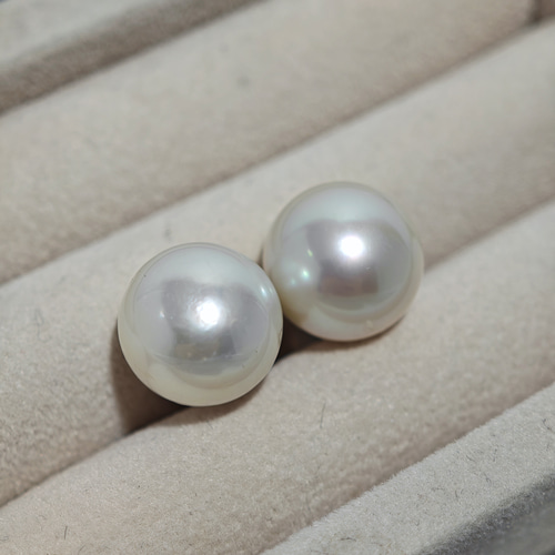 天然南洋白蝶真珠 12.7mm プラチナ ピアス ピアス（スタッド・一粒