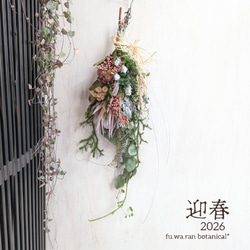 専用＊迎春2025 ドイツトウヒ＆コットン 正月飾り(ドライ) 迎春2025 ドイツトウヒ＆コットン 正月飾り(ドライ) しめ縄・しめ飾り