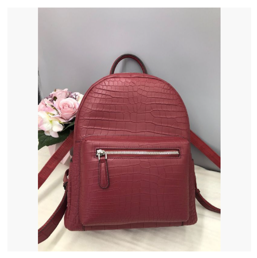 逸品 ワニ革 鞄 クロコダイルレザー リュックサック バックパック デイパック 通勤 通学 女性 レディース 学生