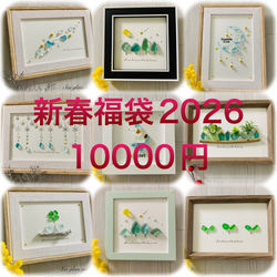 シーグラスアート シマエナガ 観葉植物 インテリア誕生日プレゼント 新築祝い シーグラスアート シマエナガ 北海道 インテリア雑貨 北欧 パネル