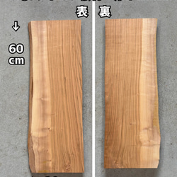 天然木！DIY素材 木材 カイズカイブキ 木材・板 森と緑と風 工房 通販