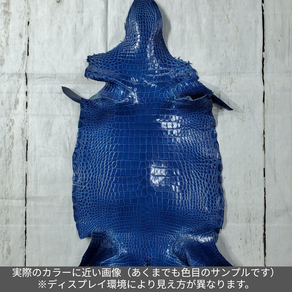 ワニ革　グレージング(艶)　ラピスラズリ　No.C008448 2枚目の画像