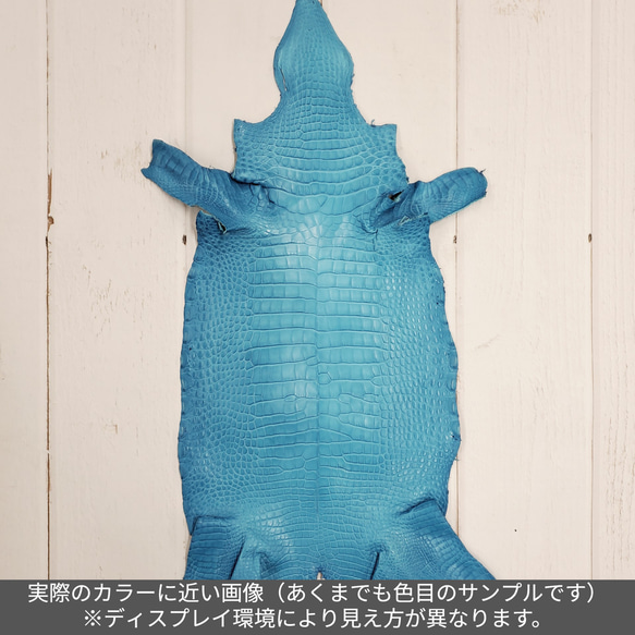 ワニ革  半艶マット  スカイブルー No.C008601 2枚目の画像