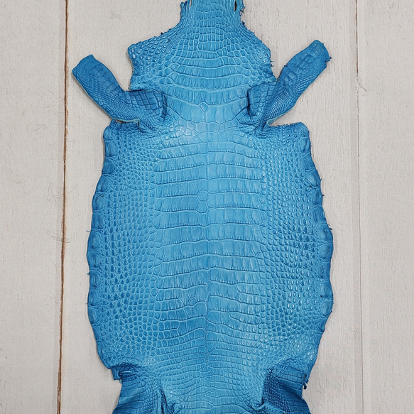 ワニ革 半艶マット スカイブルー No.C008602 その他素材 エキゾチック