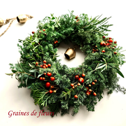 赤い実のクリスマスリース　ローズヒップ　ローゼル　野バラの実　フレッシュ針葉樹 赤い実のクリスマスリース ローズヒップ ローゼル 野バラの実