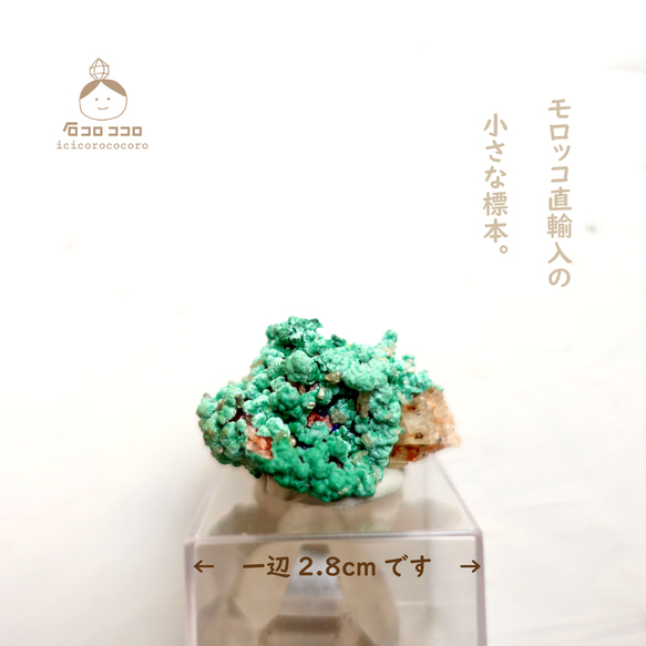 国内送料無料》✦ 緑の結晶 ✦ マラカイト 13「つぶつぶの表面が