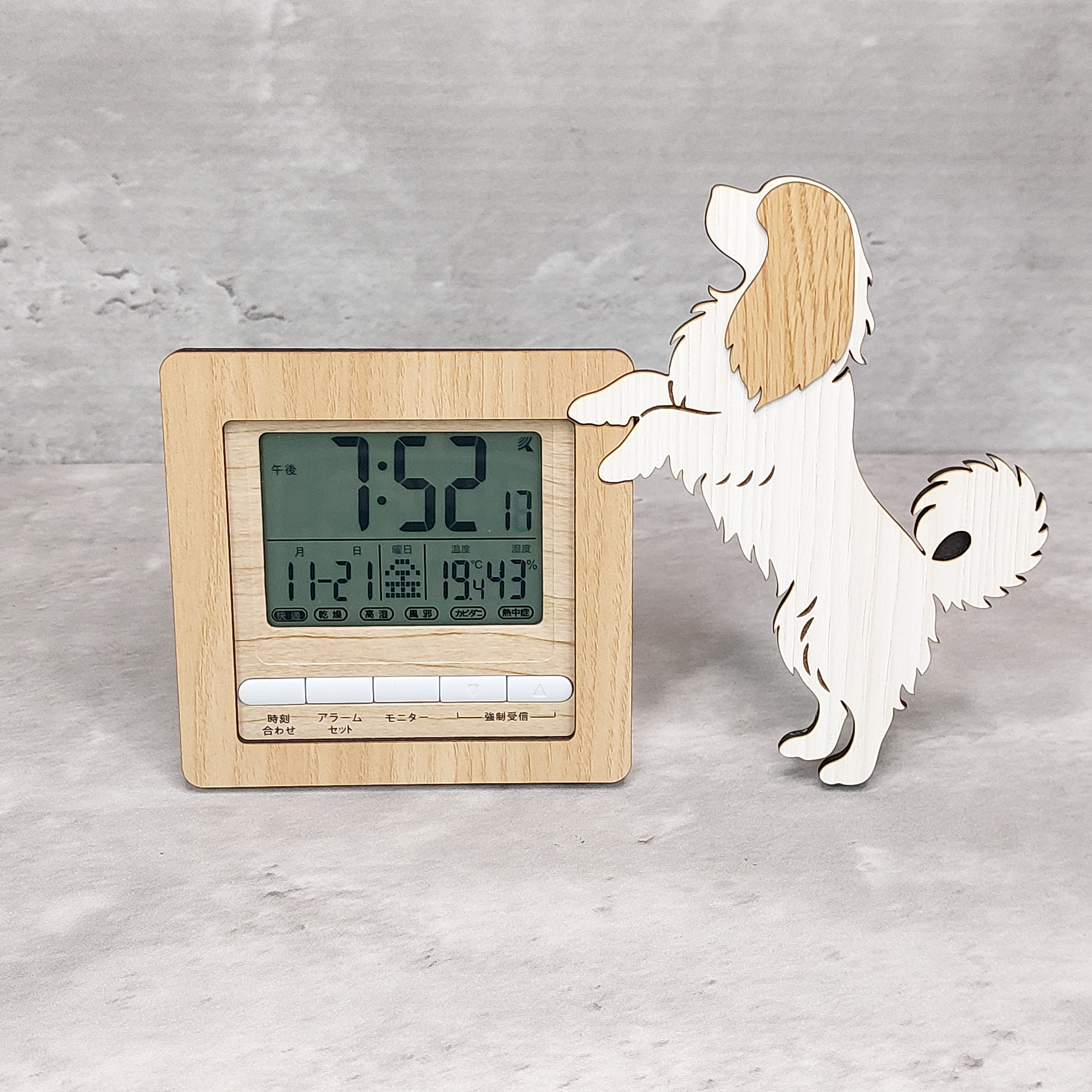 【電波時計】ワンちゃんが寄り添う電波デジタル時計 ― キャバリア