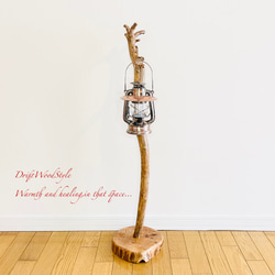 L字を描く古木風な流木スタンド ランタンやエアプラントを飾れる置物 北欧 照明 N110 8枚目の画像