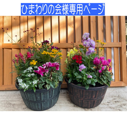 季節の寄せ植え アンティーク柄 2鉢セット 軽量プラ鉢 鉢の色