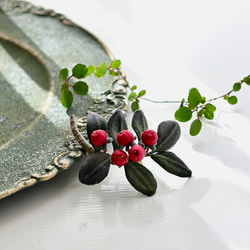 布花作品♡ドライな薔薇 園芸ネット本店｜ドライフラワー：食香バラ乾燥花（千年のバラ