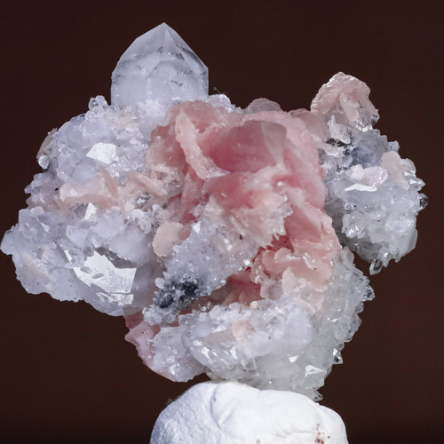 ピンクの美花 「肉眼でも見応えある造形」天然 ロードクロサイト オン