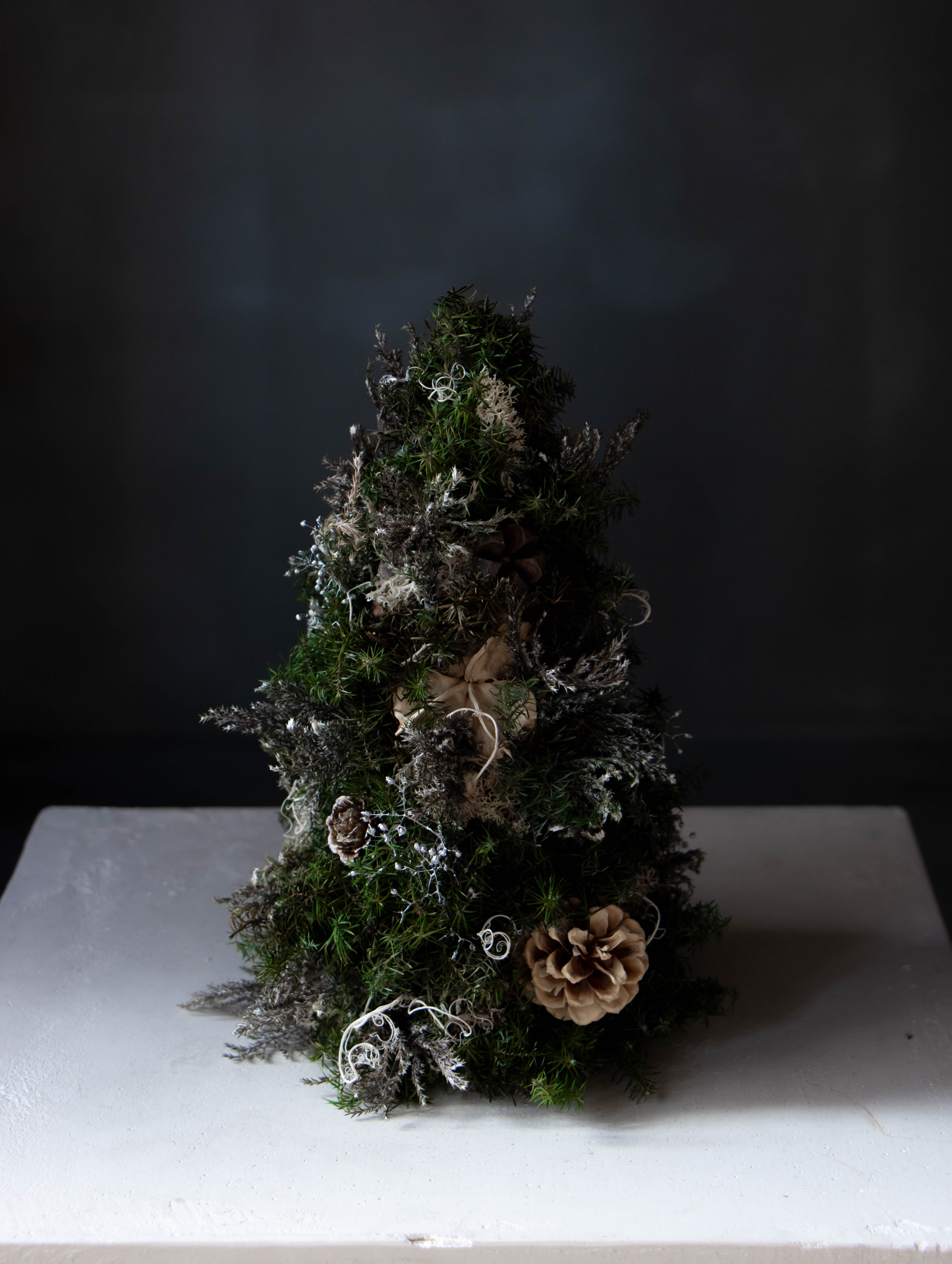 【SALE】ミニツリー_01