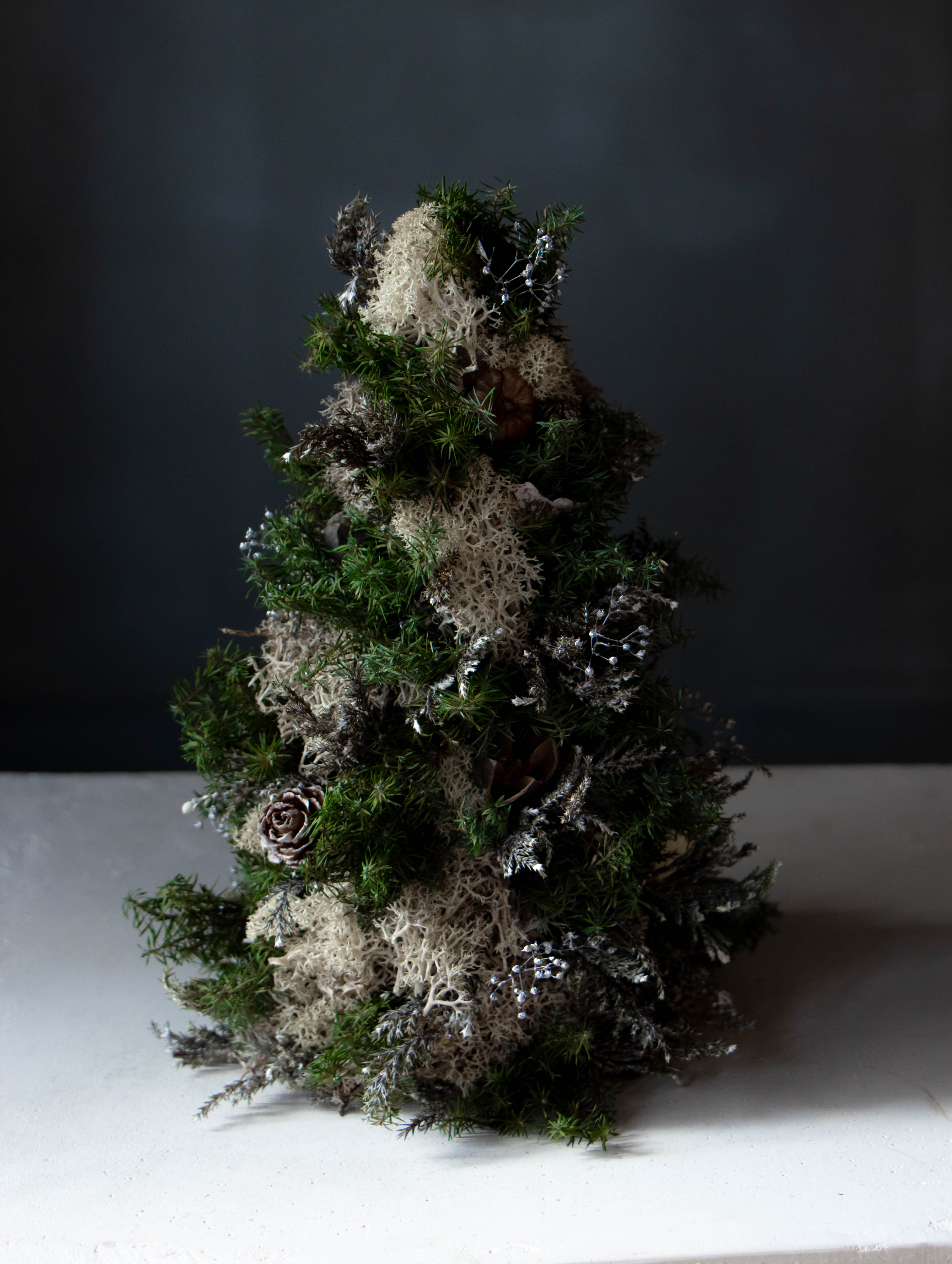 【SALE】ミニツリー_03