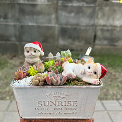 ☆送料無料☆♡そのまま飾れる♡ブリキ缶♬ハロウィンの多肉植物寄せ